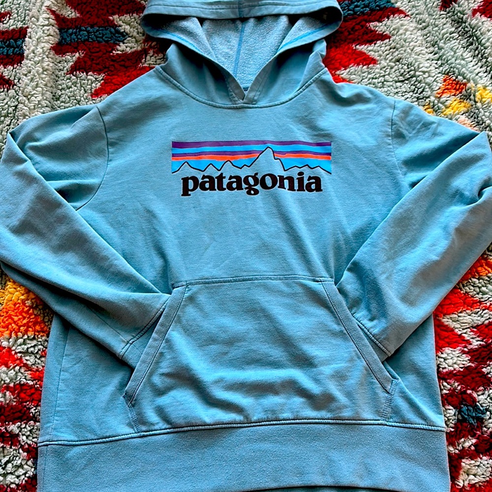 XL Boys | Ladies S | Patagonia Hoody